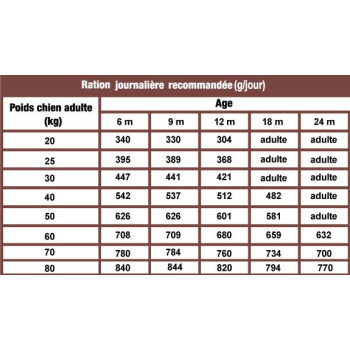 Junior All Breeds à l'agneau et riz 10kg - Large - Croquettes pour la deuxième phase de croissance des chiots - CproFood