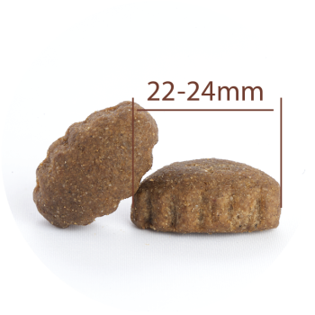 Adult All Breeds à l'agneau et riz 10kg - Large - Croquettes pour les chiens de plus de 25kg - CproFood