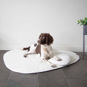 Plaid double face pour chiens blanc - 120x95x2cm - Pebble