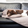 Double-sided taupe dog blanket - 120x95x2cm - Pebble