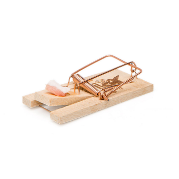 Wooden mouse trap 2 pieces - Edialux