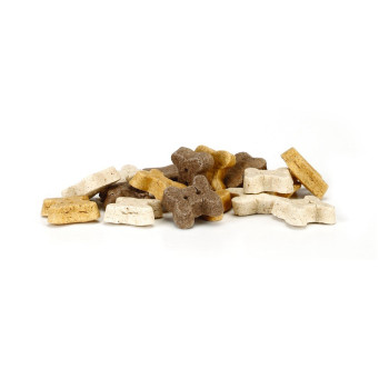 Mix de biscoitinho para filhote 1400g - Beeztees