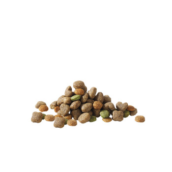 Erwachsene Mini mit Lamm 3kg - 6,95€ - Versele-Laga