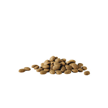 Happy Life "Essential" Kibble 20kg