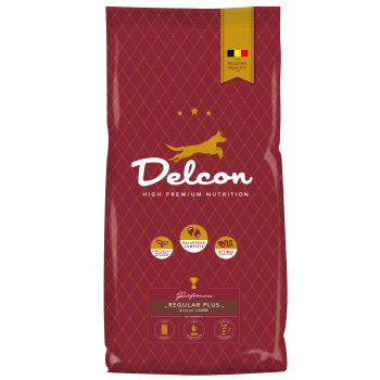 Delcon "Regular Plus" riche en Agneau 12kg